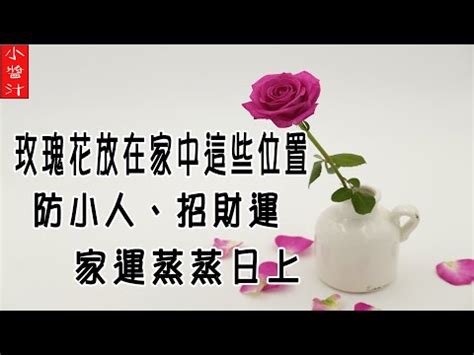 種玫瑰 風水|風水師推薦：玫瑰擺放